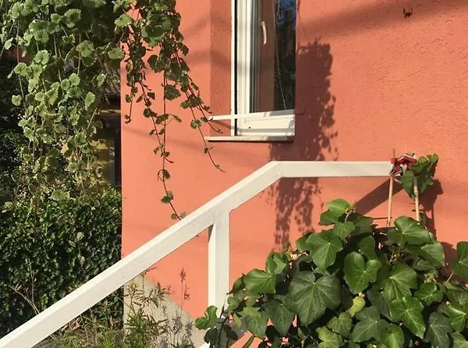 Irini Panzio Affittacamere