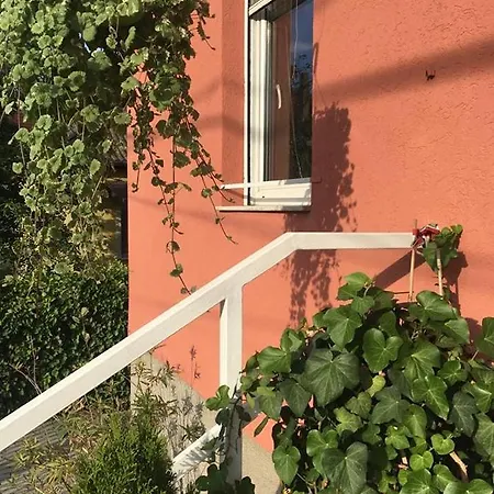 Irini Panzio 게스트하우스