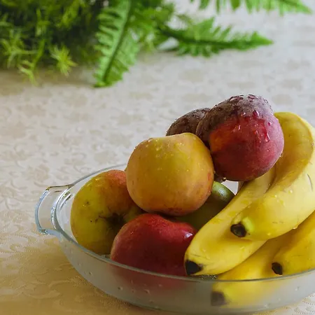 게스트하우스 Irini Panzio 부다페스트